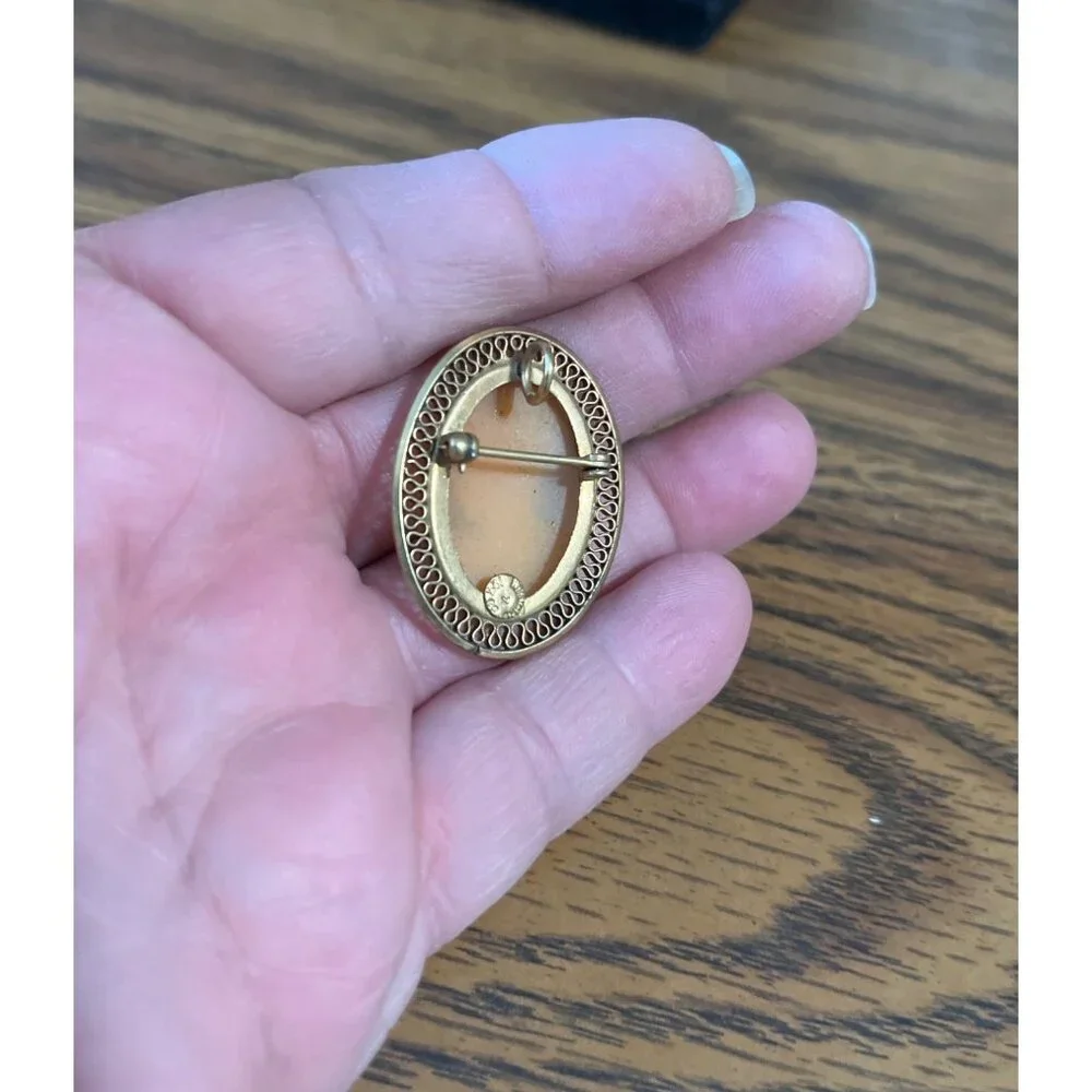 Winard 12k gold filled cameo pendant/brooch and clip earrings vintage